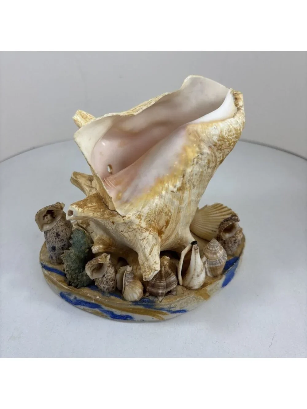 Vintage Seashell Sculpture Lamp Unique Home Decor Beach House (light Not Incl)